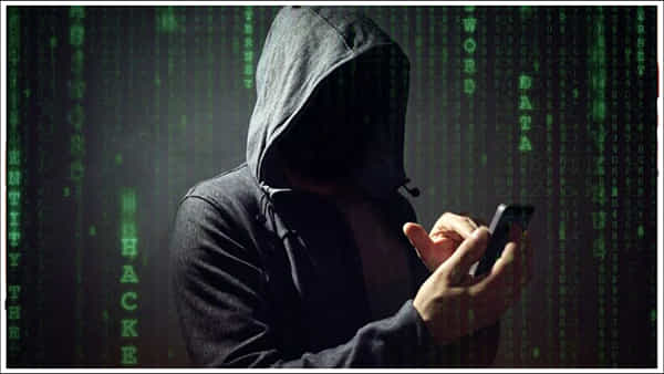 New Scam: పిగ్ బచరింగ్.. ఇదో కొత్త రొమాన్స్ స్కామ్.. మెసేజ్లు, కాల్స్తో మాయాజాలం