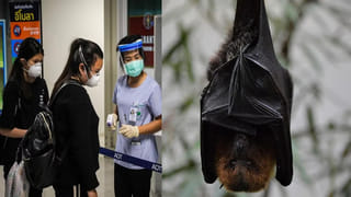 Makar Sankranti Superfoods: సంక్రాంతి పండగకు ఫేమస్ వంటలు ఇవే.. వీటిని తింటే ఎన్నో లాభాలట..!