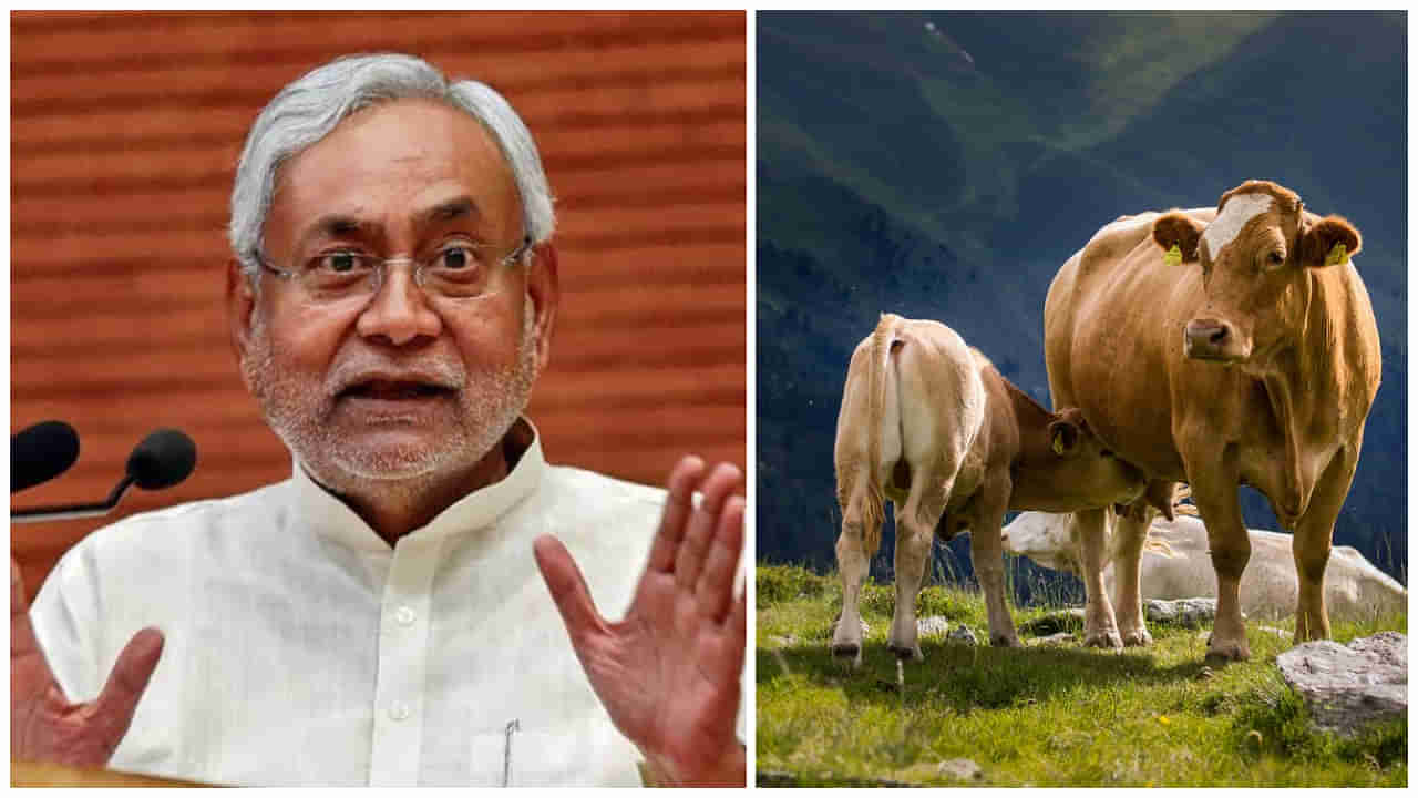 Nitish Kumar Assets: 13 ఆవులు, 10 దూడలు.. ఆసక్తికరంగా బీహార్ సీఎం నితీశ్ ఆస్తుల చిట్టా..!