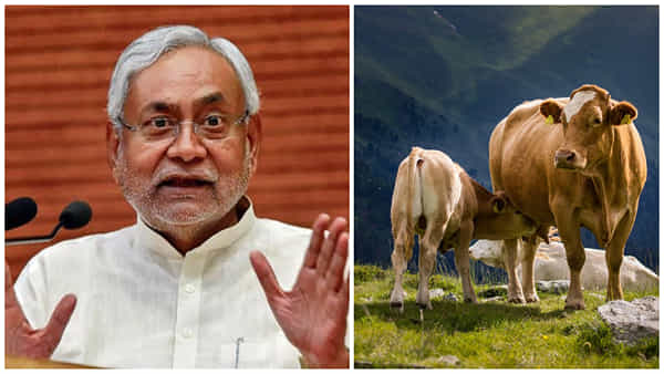 Nitish Kumar Assets: 13 ఆవులు, 10 దూడలు.. ఆసక్తికరంగా బీహార్ సీఎం నితీశ్ ఆస్తుల చిట్టా..!