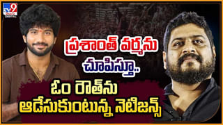 ఈచిలకా గోరింకకు.. ఎన్ని కష్టాలు..