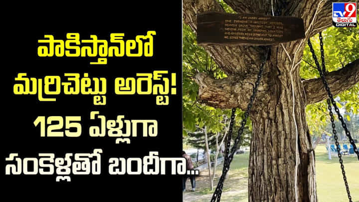పాకిస్తాన్ లో మర్రిచెట్టు అరెస్ట్.. 125 ఏళ్లుగా సంకెళ్లతో బందీగా పాకిస్తాన్ లో మర్రిచెట్టు అరెస్ట్.. 125 ఏళ్లుగా సంకెళ్లతో బందీగా