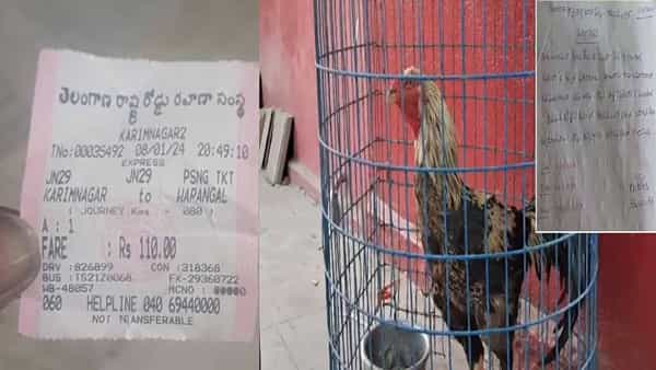 బస్సులో దొరికిన కోడిపుంజుకు ఆర్టీసీ వేలం.. ఆఖరు నిమిషంలో అద్దిరిపోయే ట్విస్ట్..!