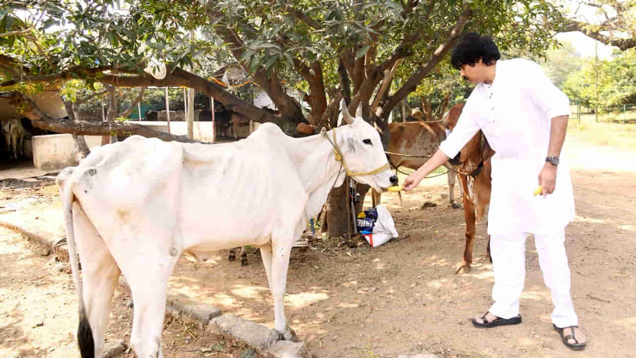 Pawan Kalyan: కనుమరోజు గోపూజలో పాల్గొన్న జనసేన అధినేత పవన్ కళ్యాణ్