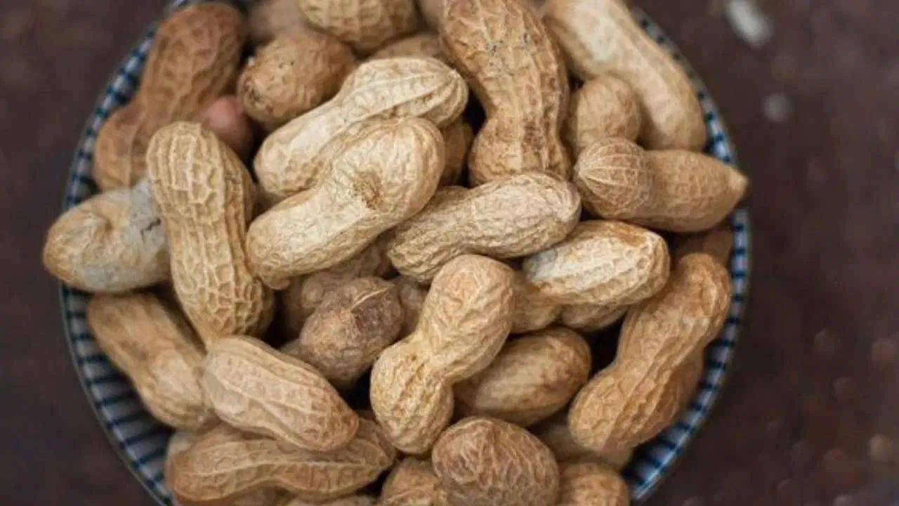 Benefits Of Peanuts: చలికాలంలో వేరుశనగలను కచ్చితంగా తీసుకోవాలంటోన్న ఆరోగ్య నిపుణులు.. కారణాలివే