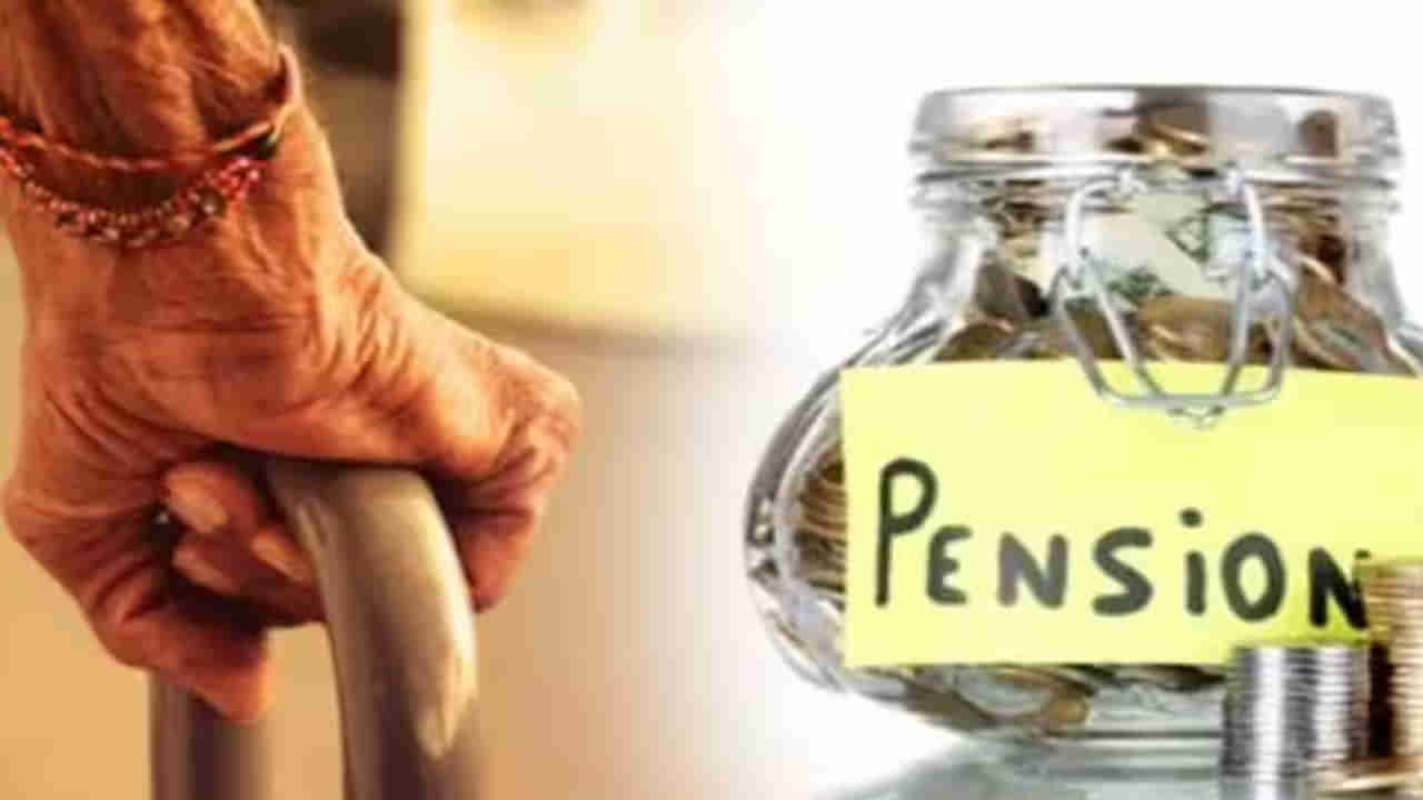 Pension Life Certificate: పెన్షనర్లకు అలర్ట్‌.. లైఫ్‌ సర్టిఫికేట్‌ సమర్పించేందుకు గడువు ఎప్పటి వరకో తెలుసా?