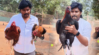 TTD: సంక్రాంతి ఎఫెక్ట్.. తిరుమలలో పెరిగిన భక్తుల రద్దీ! అన్ని కంపార్టుమెంట్లు ఫుల్‌