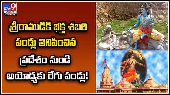 Ayodhya: శ్రీరాముడికి భక్త శబరి పండ్లు తినిపించిన ప్రదేశం నుండి అయోధ్యకు రేగు పండ్లు.! Ayodhya: శ్రీరాముడికి భక్త శబరి పండ్లు తినిపించిన ప్రదేశం నుండి అయోధ్యకు రేగు పండ్లు.!