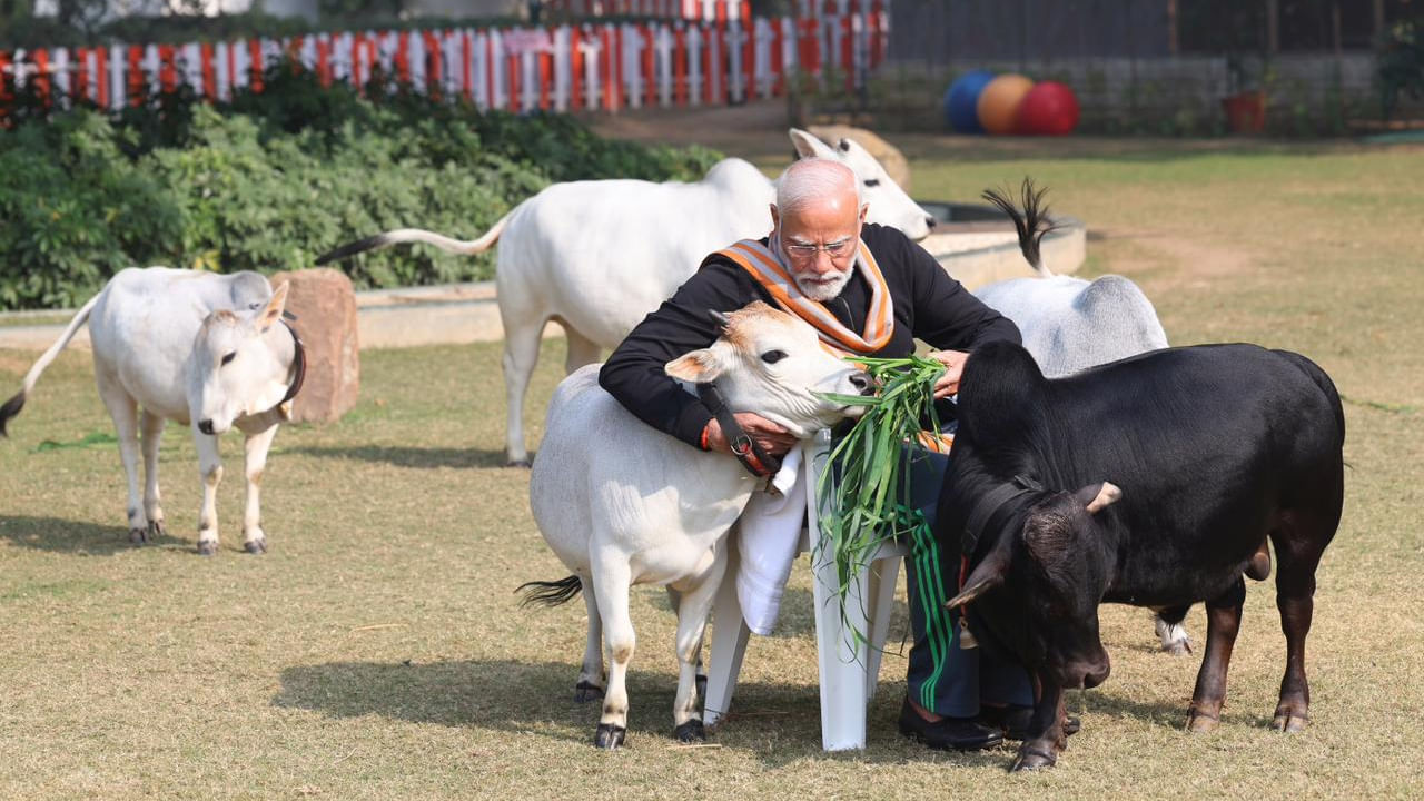 సంక్రాంతి పండుగను పురస్కరించుకుని ప్రధాని మోదీ ప్రత్యేక పూజల్లో పాల్గొన్నారు. అంతేకాకుండా.. ప్రధాని మోదీ పుంగనూరు ఆవులతో సరదాగా గడిపారు. వాటికి స్వయంగా దాణా తినిపించారు. 