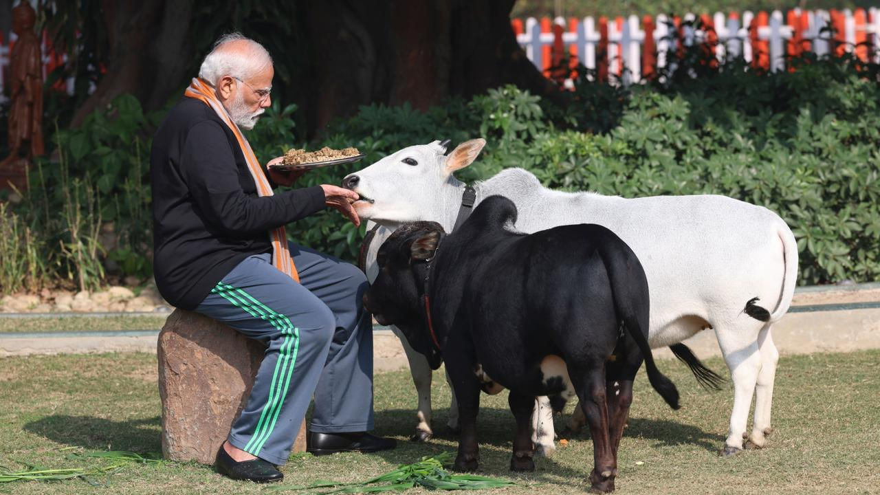 PM feeds cows: దేశవ్యాప్తంగా సంక్రాంతి సంబరాలు అంబరాన్నంటుతున్నాయి. సంక్రాంతి పర్వదినాన్ని పురస్కరించుకుని ప్రధాని మోదీ దేశ ప్రజలకు శుభాకాంక్షలు తెలిపారు.  సంక్రాంతి పర్వదినాన పౌరులందరి జీవితాల్లో ఆనందం, శ్రేయస్సు, సంతృప్తి ప్రవాహం నిరంతరం కొనసాగాలంటూ ఆకాంక్షించారు. 