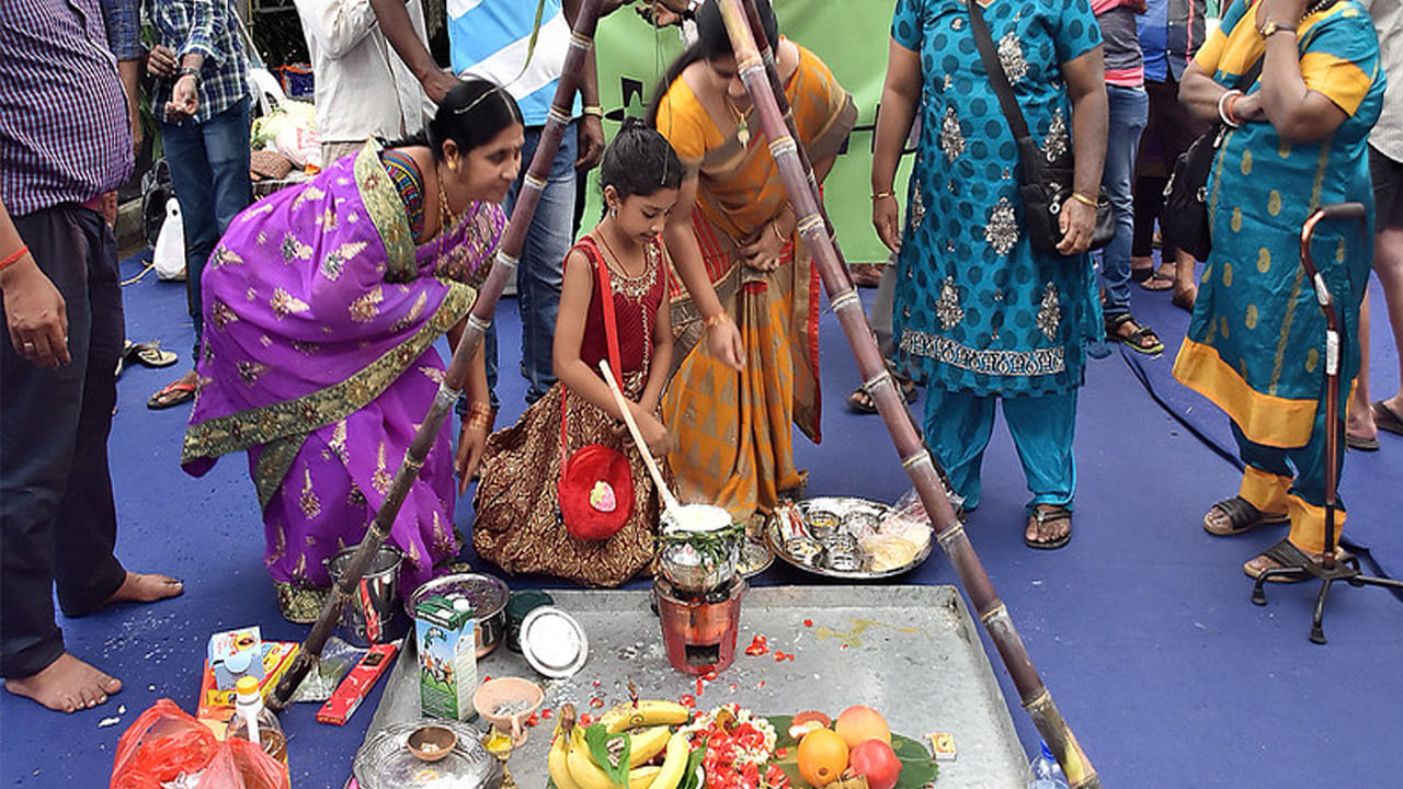 అందమైన కుండల్లో పాలు, బెల్లం, బియ్యంతో తయారు చేసే పొంగల్ ను చెరకు లేకుండా ఊహించలేం. ఎందుకంటే చెరకు గెడనే గరిటగా మార్చి పొంగల్ ను తయారు చేస్తారు. అంతేకాదు ఈ పొంగల్ ను ప్రసాదంగా, దేవతలకు, ఆవులకు పెట్టి అనంతరం ఇంటిలోని సభ్యులకు, స్నేహితులు పంపిణీ చేస్తారు. చెరకు టెస్టు కోసం మాత్రమే కాదు  ఆరోగ్యాన్ని కూడా కాపాడుతుందని మీకు తెలుసా..? దీని ప్రయోజనాలు ఇవే..