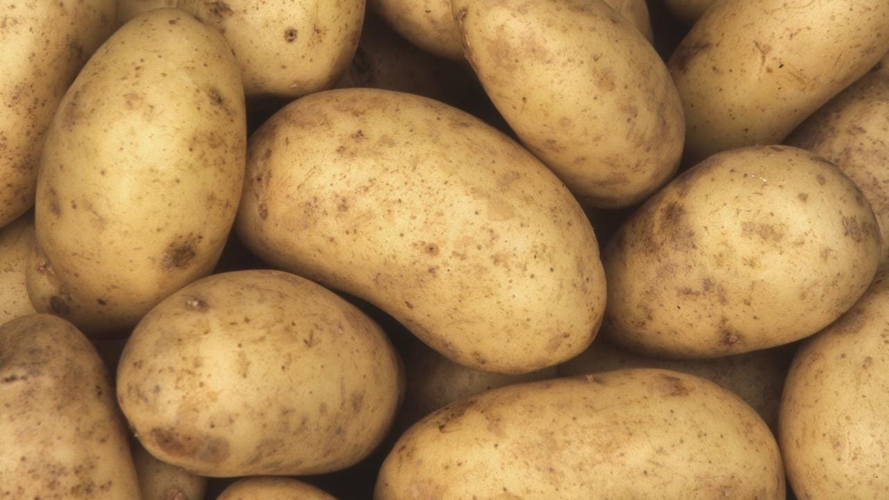 ఈ క్రమంలోనే బంగాళ దుంప తింటే క్యాన్సర్ వస్తుందని అంటున్నారు. ఇది మీరు నమ్మలేకపోతున్నారా. కానీ ఇది నిజం అని అంటున్నారు నిపుణులు. నేషనల్ క్యాన్సర్ ఇన్‌స్టిట్యూట్ ప్రకారం.. ఆలు గడ్డ తింటే క్యాన్సర్ వస్తుంది.
