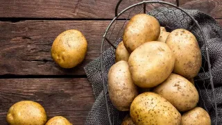 ఈ ఐదు ఎలక్ట్రిక్ కార్ల ధరలు వింటే మీరు షాక్ అవుతారు.. లుక్కులో వీటికి మించిన అందంలేదు..!