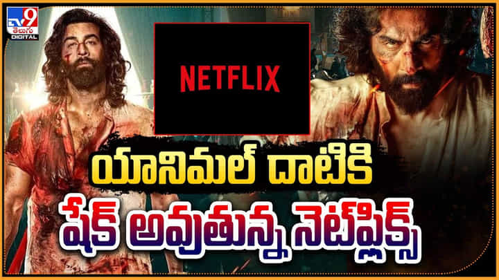Animal: యానిమల్ దాటికి షేక్ అవుతున్న నెట్ఫ్లిక్స్.! ఓటీటీలో దూసుకుపోతున్న యానిమల్. Animal: యానిమల్ దాటికి షేక్ అవుతున్న నెట్ఫ్లిక్స్.! ఓటీటీలో దూసుకుపోతున్న యానిమల్.