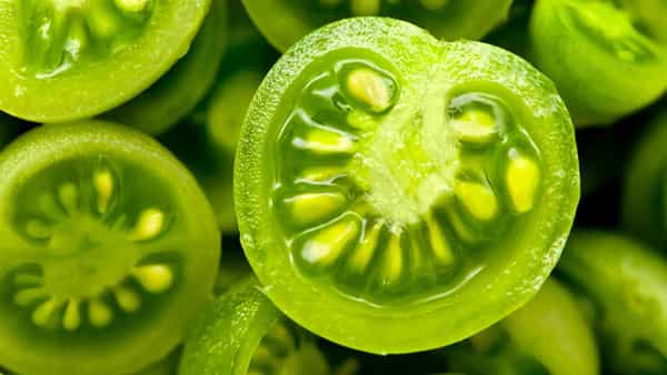 Raw Tomatoes: పచ్చి టమాటాలతో బోలెడు లాభాలు.. బీపీ, క్యాన్సర్ లాంటి వ్యాధులు పరార్..!