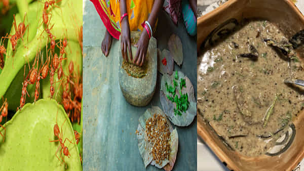 Red Ant Chutney: ఒడిశా ఎర్ర చీమల చట్నీకి GI ట్యాగ్.. ఆదివాసీల ఇష్టమైన ఫుడ్.. ఆరోగ్య ప్రయోజనాలు.. రెసిపీ మీ కోసం