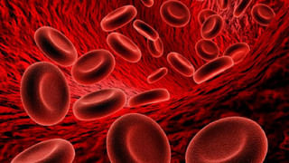 Valentines Day 2024: వాలెంటైన్స్‌ డే గిఫ్ట్ ఇవ్వాలా.. మీ ప్రేమను పంచే ఈ మొక్కలు బెస్ట్!