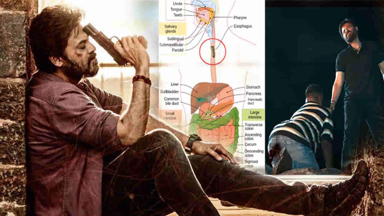 Saindhav: నోట్లో పెట్టి కాల్చితే అక్కడనుంచి ఎలా బయటకు వచ్చిందన్న..? క్లారిటీ ఇచ్చిన డైరెక్టర్