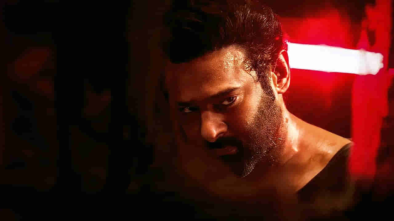 Salaar Movie : సలార్ సినిమా జపాన్తోపాటు ఆ ల్యాంగ్వేజ్లోనూ రిలీజ్కానుంది