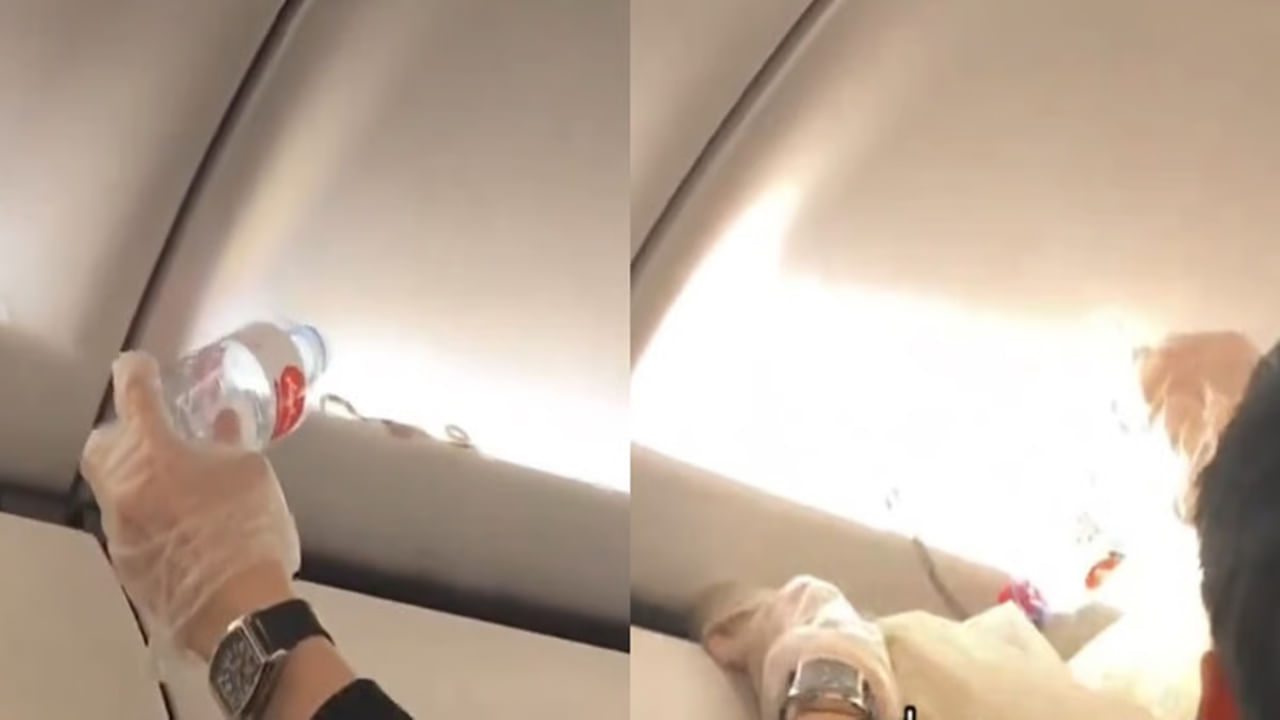 Viral Video: ఎగురుతున్న విమానంలో పాము ప్రత్యక్షం.. హడలెత్తిన ప్రయాణికులు.. వీడియో వైరల్
