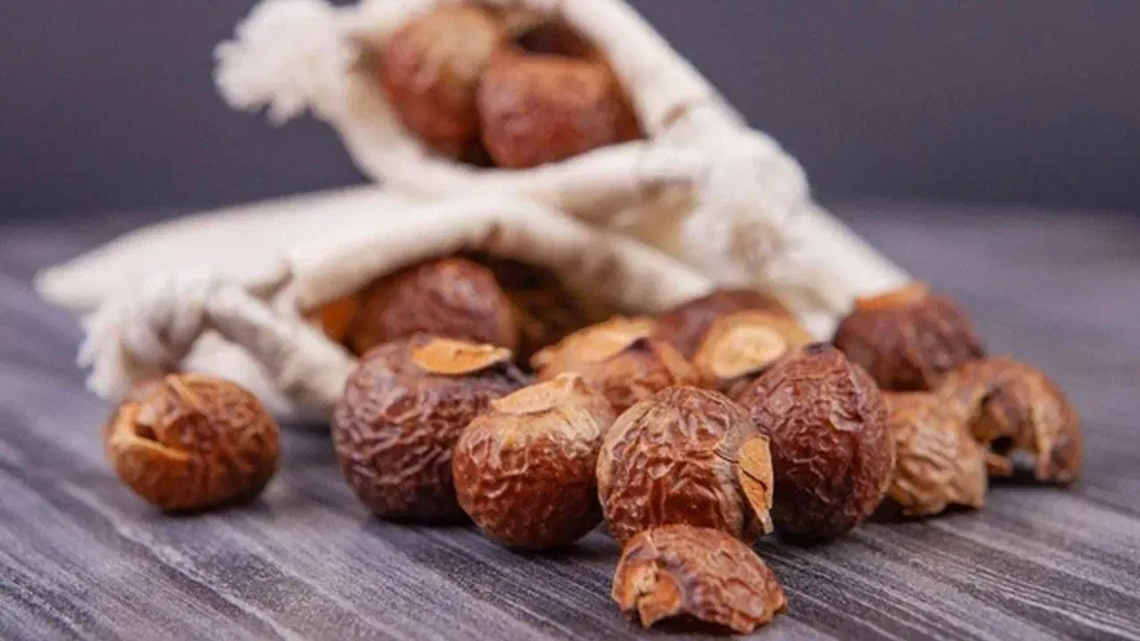 కుంకుడు కాయల లోపల ఉండే గింజల్ని పగలగొట్టి.. వాటిని మిక్సీలో వేసి పౌడర్‌లా చేసుకోవాలి. దీన్ని కొన్ని రోజులు ఎండలో ఆరబెట్టాలి. ఆ తర్వాత ఓ డబ్బాలో నిల్వ చేసుకుంటే సరిపోతుంది. తలస్నానం చేయాల్సినప్పుడల్లా వాటిని ఆ పొడిని నీటిలో కలుపుకుని హెడ్ బాత్ చేయడమే. ఇలా చేస్తే జుట్టుకు కూడా మేలు జరుగుతుంది.
