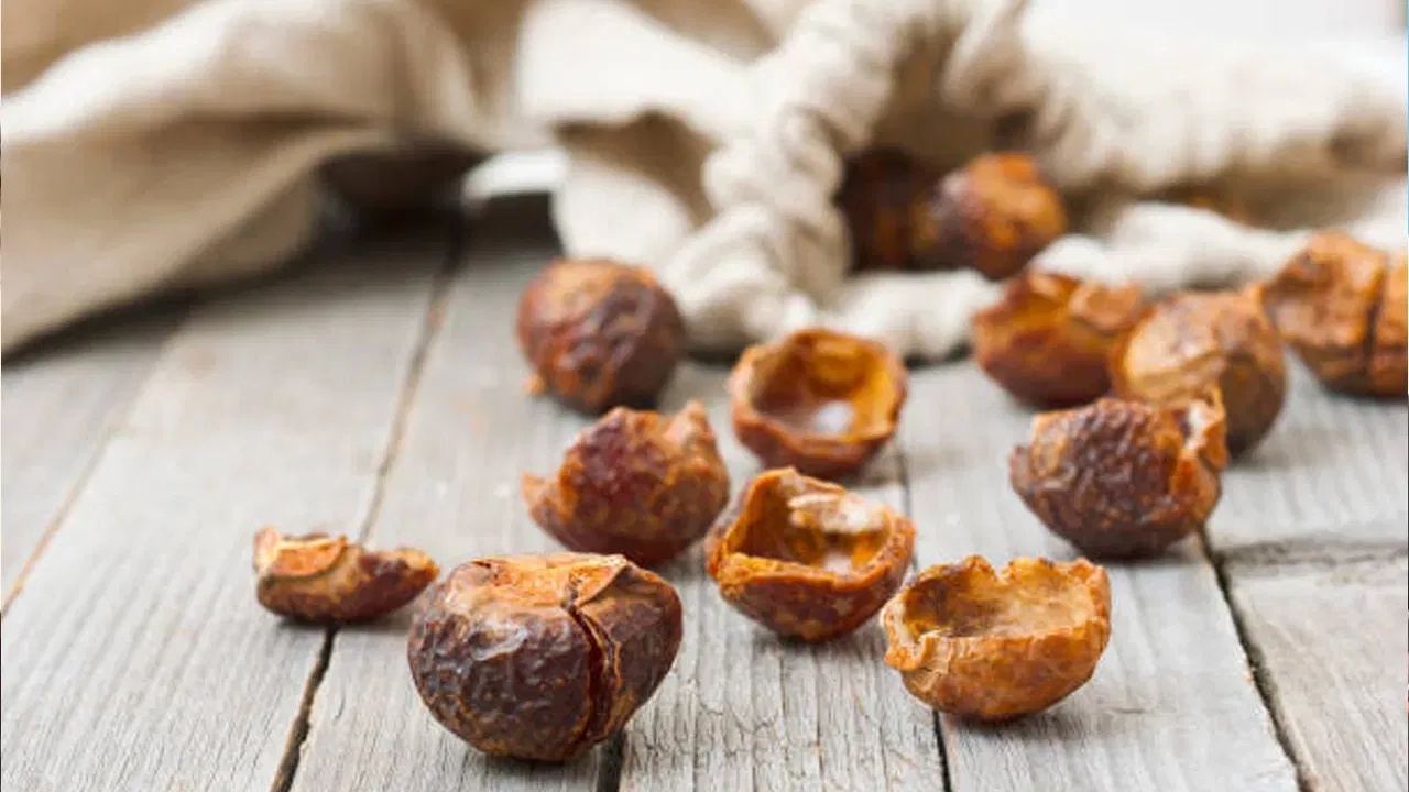 కుంకుడు కాయలు ఉపయోగించడం వల్ల జుట్టు కుదుళ్లు బలపడతాయి. అయితే కుంకుడు కాయల రసం కళ్లల్లో పడి కళ్లు మండటం, కుంకుడు తొక్కలు జుట్టులో ఇరుక్కోవడం వంటివి జరుగుతూ ఉంటాయి. దీంతో చిరాకుగా అనిపించి వీటి వాడకం తగ్గించేశారు. కుంకుడు కాయలతో సులభంగా షాంపూ కూడా తయారు చేసుకోవచ్చు. 
