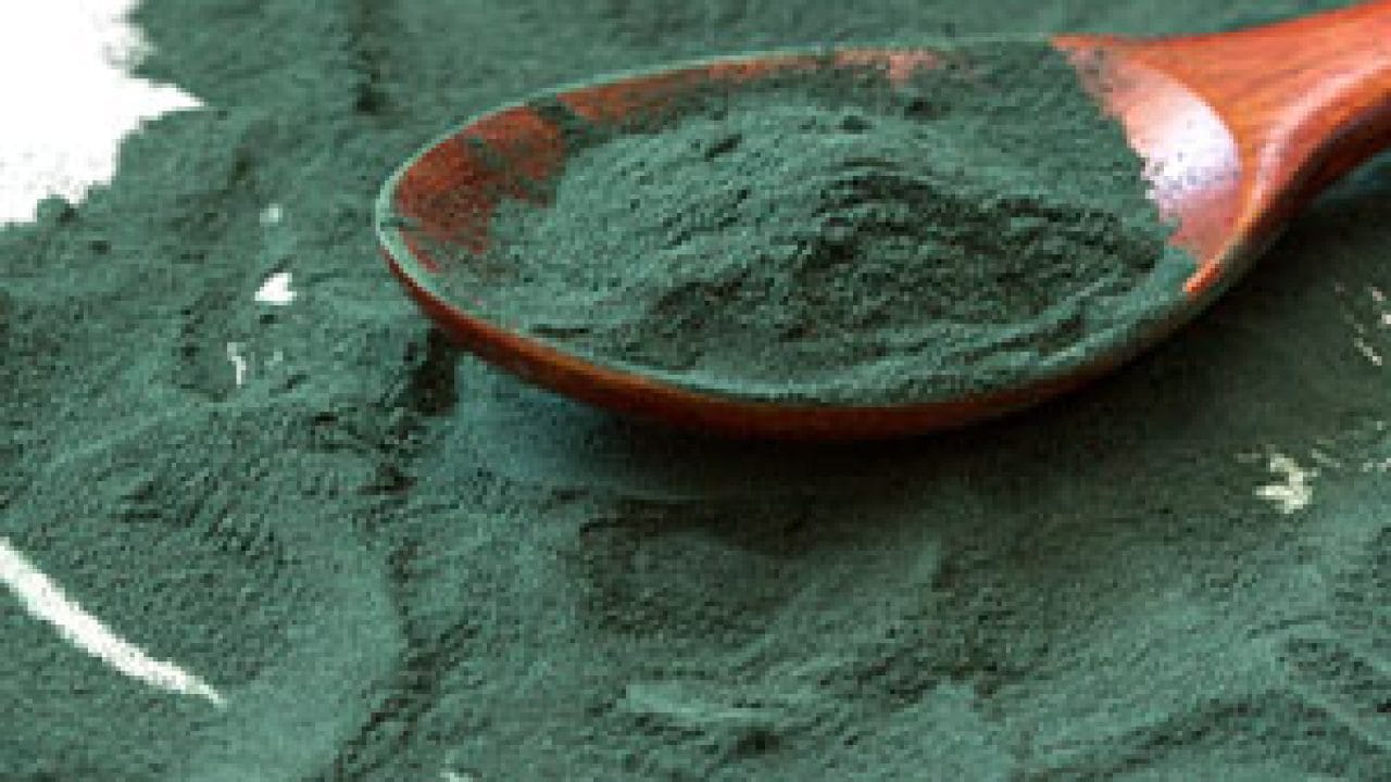 Spirulina Benefits ఛీ ఛీ అనుకోకండి.. ఈ నాచు తింటే ఎన్ని ఆరోగ్య