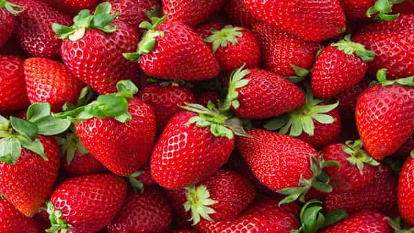 Health Tips: మధుమేహం ఉన్నవారు స్ట్రాబెర్రీలను తింటే ఏమవుతుందో తెలుసా..? నిపుణులు ఏం చెబుతున్నారు..
