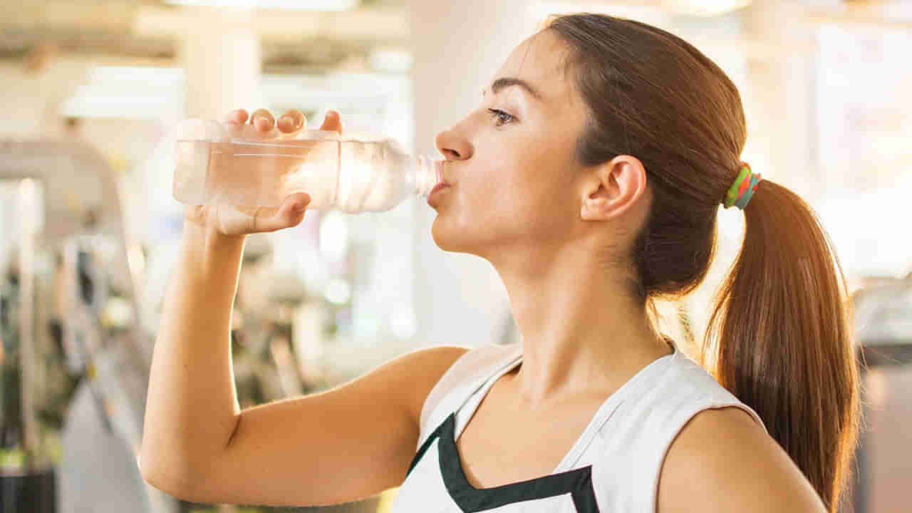 Study: లీటర్‌ వాటర్‌ బాటిల్‌లో రెండున్నర లక్షల ప్లాస్టిక్‌ కణాలు.. తాజా అధ్యయనంలో..