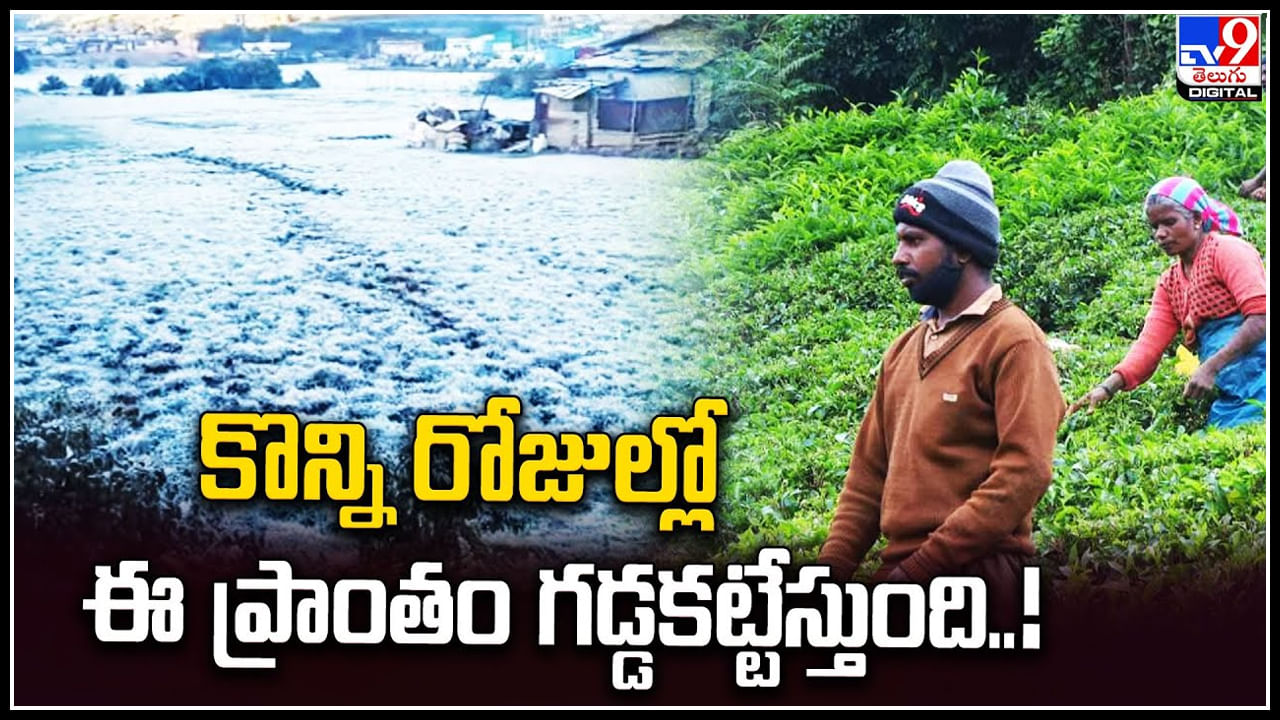 Nilgiris Village: కొన్ని రోజుల్లో ఈ ప్రాంతం గడ్డకట్టేస్తుంది.! పలు చోట్ల 1 డిగ్రీ సెల్సీయస్‌ ఉష్ణోగ్రత నమోదు.