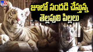 ఫోన్లు అతిగా వాడొద్దంటూ షరతు !! ఫ్యామిలీతో బాండ్‌ రాయించుకున్న మహిళ !!