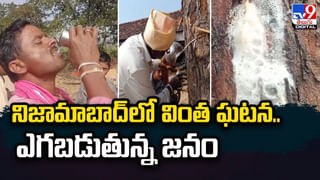 Viral Video: ఆపరేషన్ క్లీన్.. ఆఫీసులో చిట్టెలుక పనికి అంతా పరేషాన్.. చెత్తనంతా ఒకే చోట పోగేస్తున్న వీడియో వైరల్