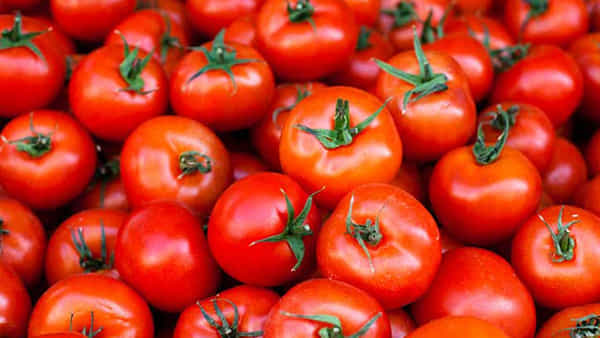 Tomatoes Side Effects: ఈ సమస్యలున్న వారు టమాటాలు ఎక్కువగా తినకూడదు.. బీ కేర్ ఫుల్