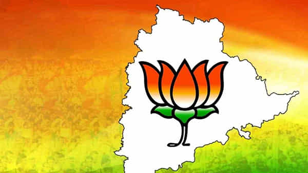 Lok Sabha Election: కమలం టిక్కెట్ కోసం నేతల క్యూ.. ఏకంగా ఎన్నారైలు, సినీ పెద్దలు, వ్యాపారవేత్తలు