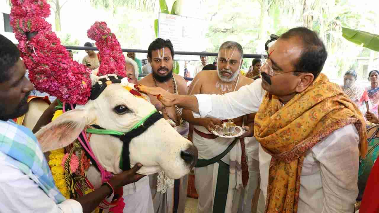 TTD Tirumala GoMahotsavam: గోవులు దేవతాస్వరూపాలు. గోమాత పరిరక్షణకు అందరూ ప్రతిన బూనాలి.. టీటీడీ చైర్మన్ భూమన