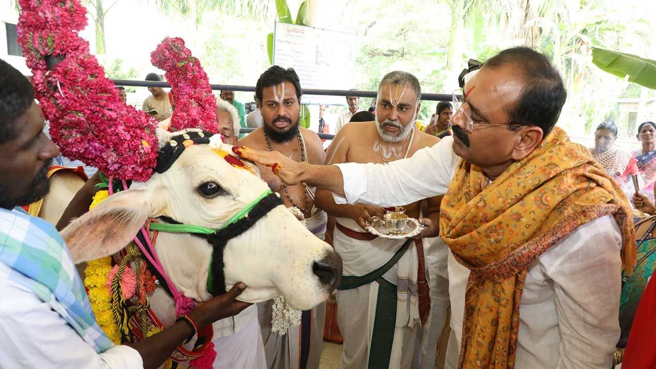 TTD Tirumala GoMahotsavam: 'గోవులు దేవతాస్వరూపాలు. గోమాత పరిరక్షణకు అందరూ ప్రతిన బూనాలి..' టీటీడీ చైర్మన్ భూమన