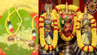 Vastu Tips: ఇంట్లో వాస్తు దోషమా.. లక్ష్మీదేవి అనుగ్రహం కోసం ఇంట్లో శంఖాన్ని ఎలా ఉంచాలంటే..