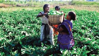 Bank Accounts: పొదుపు చేయాలంటే ఆ ఖాతా మస్ట్‌.. ఆర్థిక రంగంలో కీలకంగా ఉండే ఖాతా ఇదే..!