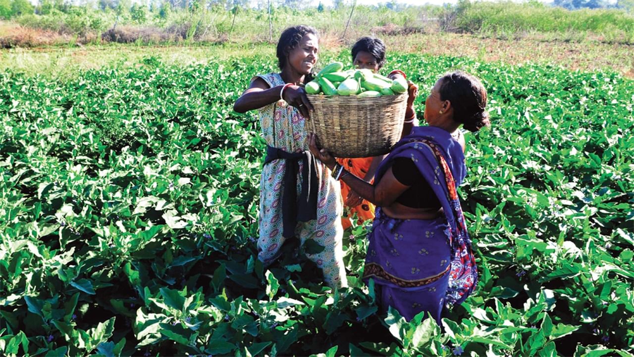Farming Women: కూరగాయల సాగుతో ఆర్థిక సమస్యలకు చెక్‌.. రోజుకు రూ.5 వేల సంపాదన