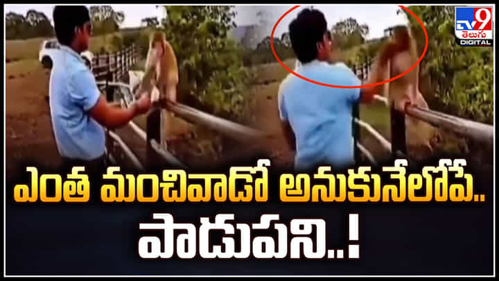 Viral: మంచివాడే అనుకునేలోపే పాడుపని.! కోతికి ఆహరం పెడుతూనే దారుణం. Viral: మంచివాడే అనుకునేలోపే పాడుపని.! కోతికి ఆహరం పెడుతూనే దారుణం.