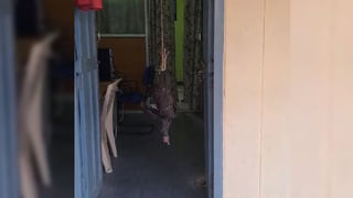 మహిళా ఉద్యోగస్తురాలిని వేధిస్తున్న ఎస్సై.. పోలీస్ స్టేషన్లో ఫిర్యాదు చేసిన బాధితురాలు..