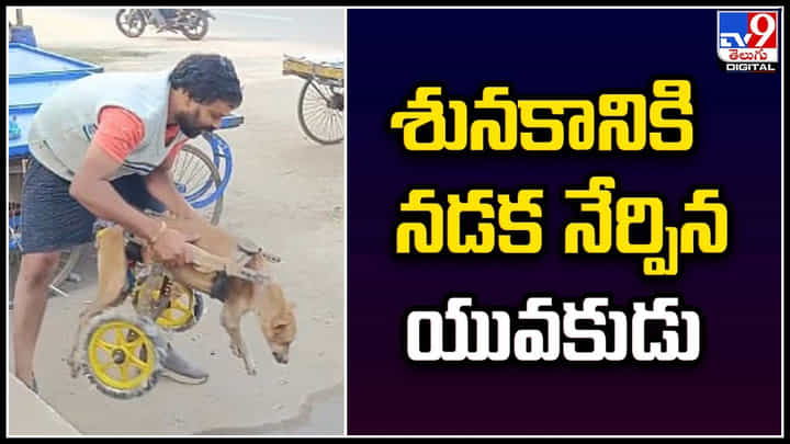 Viral: మూగజీవికి నడకనిచ్చిన యువకుడు.. ప్రమాదంలో గాయపడిన శునకం. Viral: మూగజీవికి నడకనిచ్చిన యువకుడు.. ప్రమాదంలో గాయపడిన శునకం.