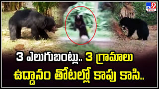 Running Bus: బస్సు నుంచి పడబోయిన యువతి.. ఆమె జుట్టు పట్టుకుని కాపాడిన కండక్టర్‌.