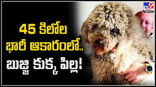 Pakistan: పాక్‌ ఎన్నికల్లో హిందూ మహిళ సవీరా ప్రకాష్ కు ముస్లింల మద్దతు.!