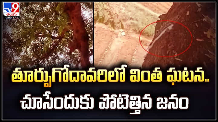 Viral: తూర్పుగోదావరిలో వింత ఘటన.. దైవ మహిమేనంటూ చూసేందుకు పోటెత్తిన జనం.! Viral: తూర్పుగోదావరిలో వింత ఘటన.. దైవ మహిమేనంటూ చూసేందుకు పోటెత్తిన జనం.!