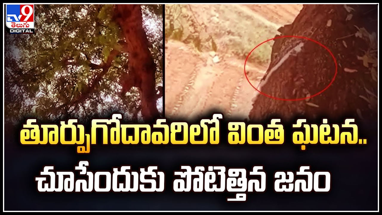 Viral: తూర్పుగోదావరిలో వింత ఘటన.. దైవ మహిమేనంటూ చూసేందుకు పోటెత్తిన జనం.!