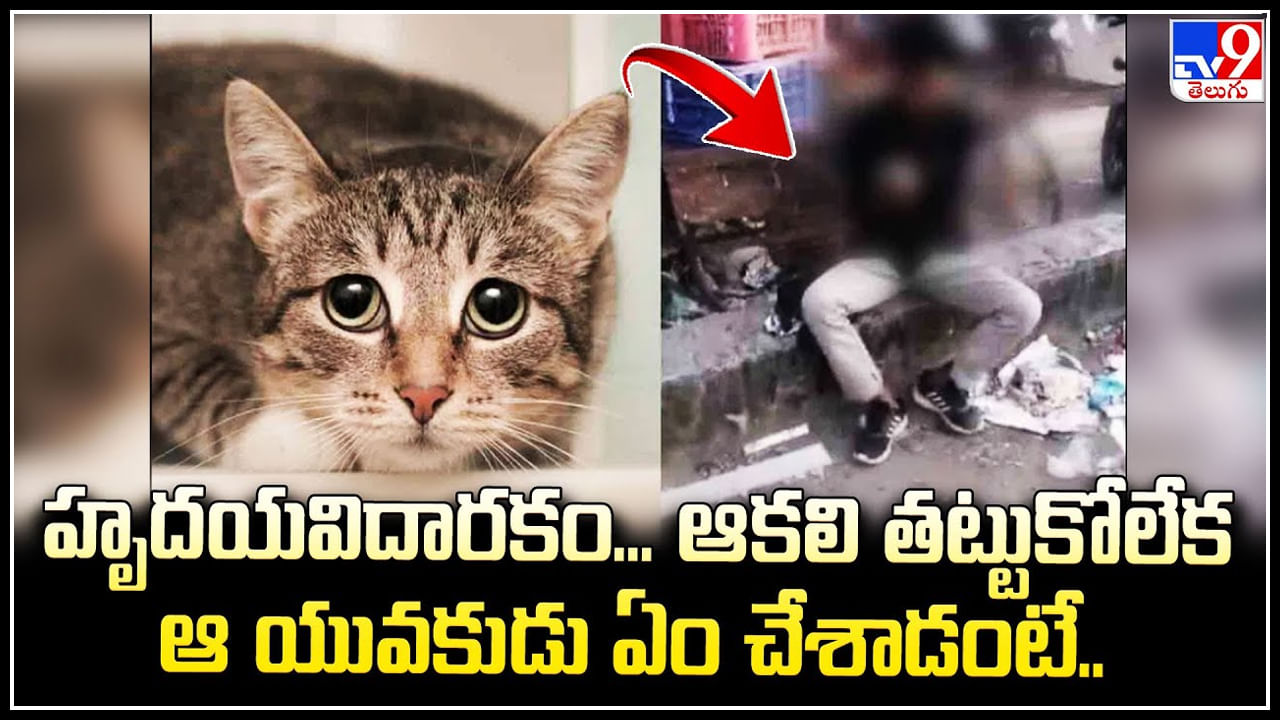 Viral Video: హృదయవిదారకం.! ఆకలి తట్టుకోలేక ఆ యువకుడు ఏం చేశాడంటే..