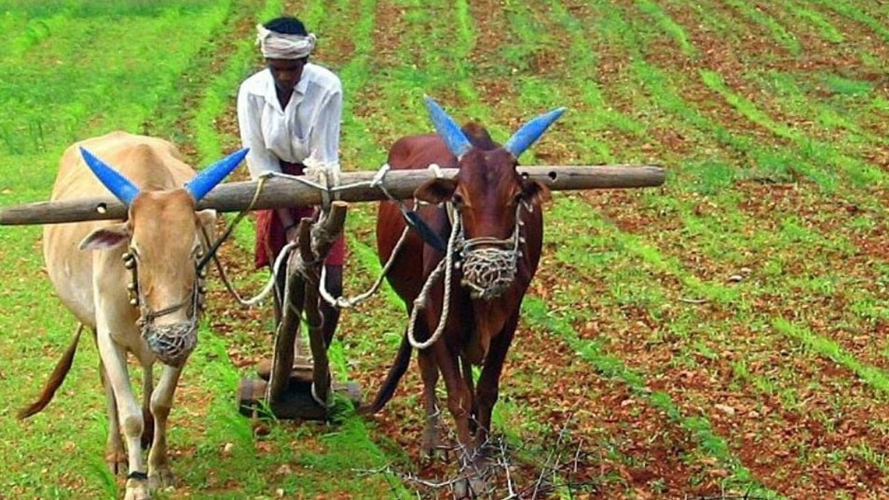 ఇక వ్యవసాయంతో పాటు రైతుల సంక్షేమం కోసం ఈ ఏడాది బడ్జెట్‌లో రూ. 1.27 లక్షల కోట్లను కేటాయించారు. అలాగే మినిస్టిరీ ఆఫ్‌ కమ్యూనికేషన్‌కోసం ఈ ఏడాది రూ. 1.37 లక్షల కోట్లు కేటాయించారు. 