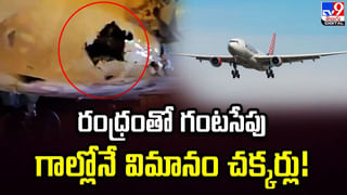 కోతుల కోసం మినీ సిటీ !! మండిపడుతున్న అమెరికన్స్