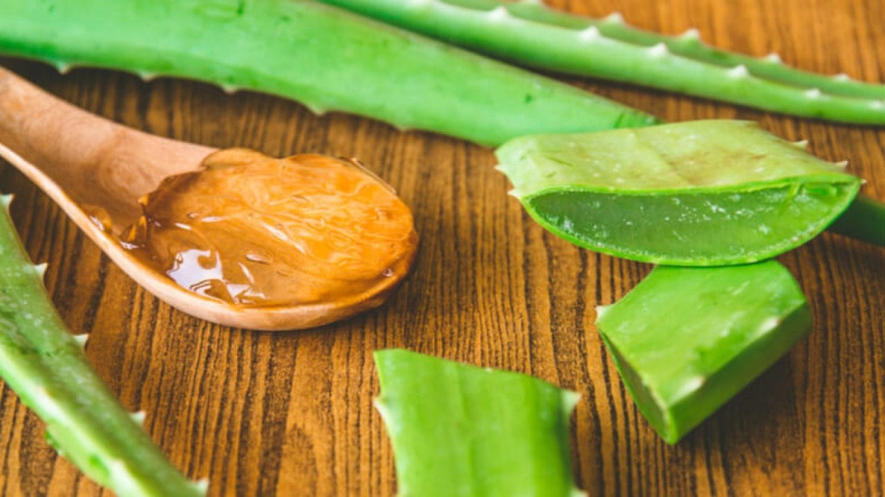 వెయిట్ లాస్ అవ్వాలి అనుకునే వారు గ్లాస్ కలబంద రసంలో కొద్దిగా నిమ్మ రసం కలుపుకుని తాగితే మంచి ఫలితాలు ఉంటాయి. ఈ జ్యూస్లో ఉండే గుణాలు కొలెస్ట్రాల్ను కొవ్వొత్తిగా కరిగేలా చేస్తాయి.